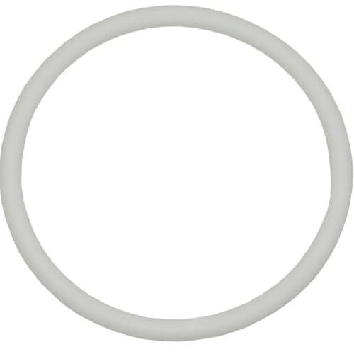 Bedford Precision 15-2762 Teflon O-Ring - Replacement for Titan/Wagner/Speeflo 704-297