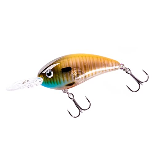 Fat Free Guppy Shallow Diving Crankbait 2 3/8 Inch - Bluegill