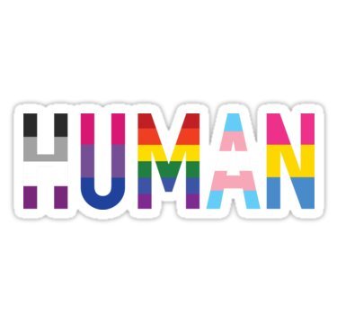 LGBTQ+ Pride Human Graphic Bumper Sticker - Gay Pride Window Decal