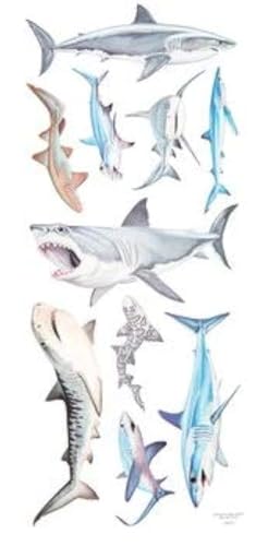 Realistic Shark Sticker Sheet - 10 Large Stickers