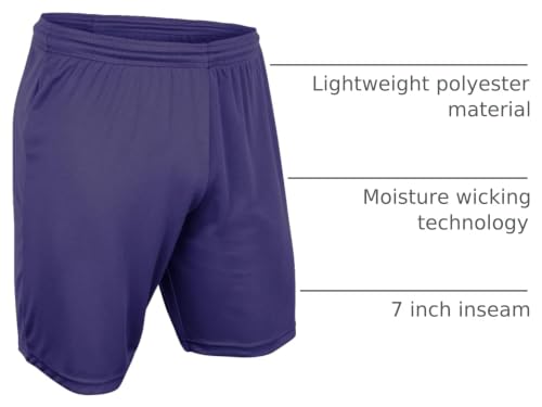 Champro Boys' Vision Basketball Shorts Large Purple - Lightweight, Moisture-Wicking Sportswear