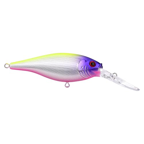 Berkley Flicker Shad Fishing Lure Trolling Pack, Size 7, 5-Pack, Size, Profile and Dive Depth Imitates Real Shad, Equipped with Fusion19 Hook, Includes Plano ProLatch 3600 Storage Case