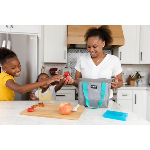 MaxCold Small Reusable Ice Packs - 2-Pack, Blue