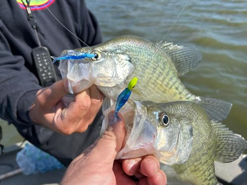 Live Roam'R 1.75-Inch Soft Plastic Minnow Bait for Crappie - Monkey Milk