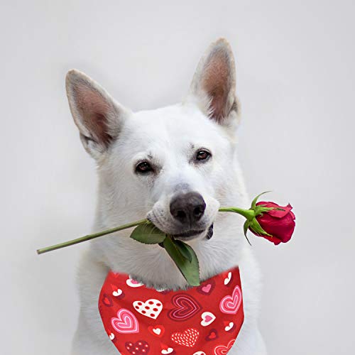 Valentine's Dog Bandana Set - Candy Hearts - Small