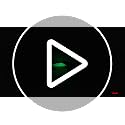 Premium Green Glow Sticks - 6 Inch, 12 Hour Light, 6 Pack