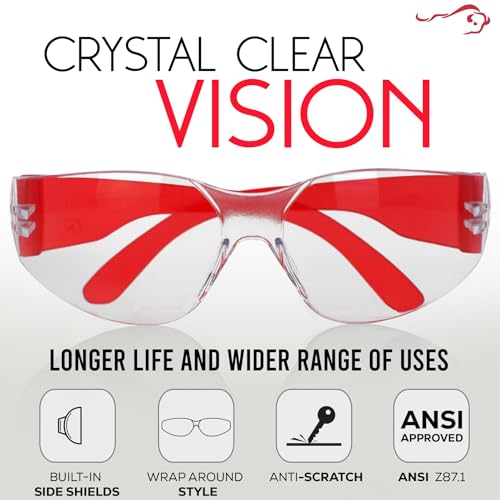 BISON LIFE Kids Safety Glasses, Bulk Kids Protective Glasses ANSI Z87.1 Safety Glasses for Kids, Science Safety Goggles Pack