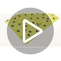 Eco-Friendly Dog Poop Bags - 300 Count Leak-Proof Scented Rolls
