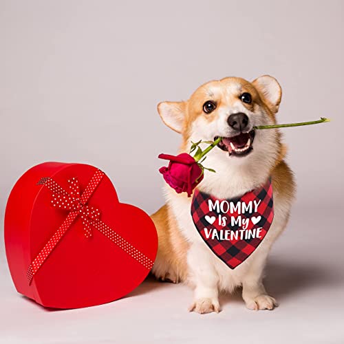 Valentine Dog Bandana - Red Buffalo Plaid Pet Scarf - Kisses 25 - Small