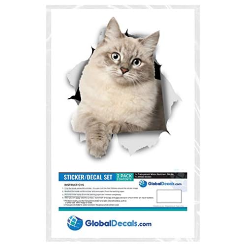 Winston & Bear 3D Cat Stickers - 2 Pack - Siberian Kitty Cat Decals for Wall - Stickers for Bedroom - Fridge - Toilet - Room - Retail Packaged