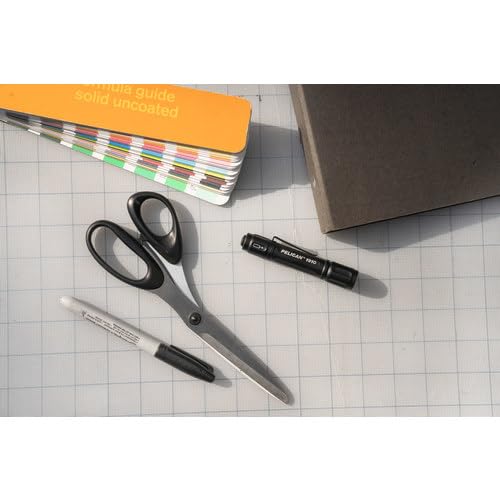 Pelican 1910B LED Flashlight (Black)