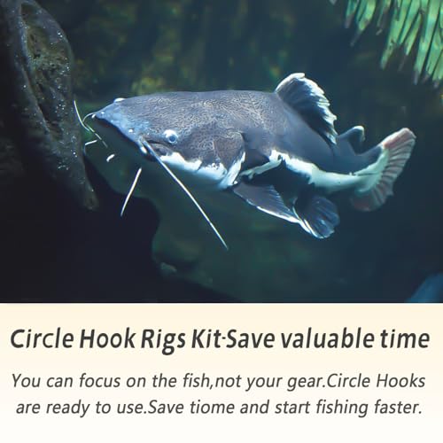 Circle Hook Rigs with Stainless Steel Leader - 25 Pack 2/0
