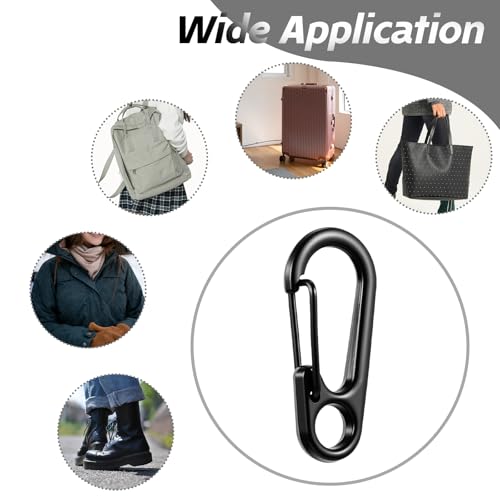 20 Pcs Mini Carabiner Clips - 1.2 Inch Zinc Alloy Keychains