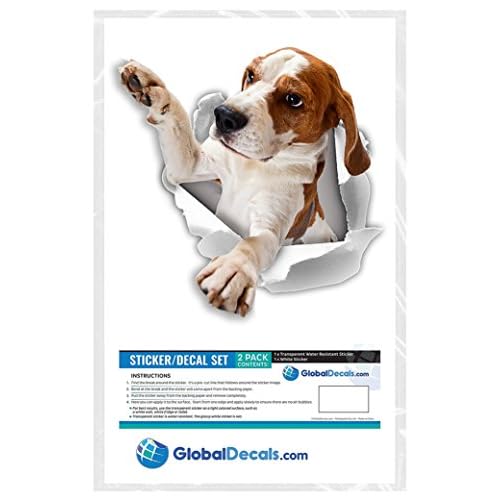 Winston & Bear 3D Reaching Beagle Decals - Dog Stickers for Wall, Car, Fridge, Toilet and More - Retail Packaged - 2 Pack