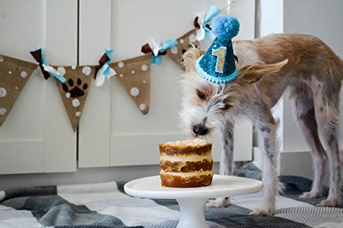 Blue Dog Birthday Party Hat for Small & Medium Pets - 1pc