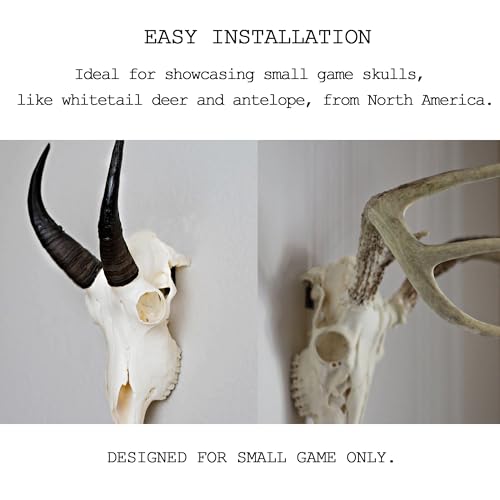 European Mount Skull Hanger Kit for Small to Medium Animals - 3 Pcs