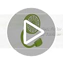 Green Lemon Silicone Straw Cover for 10mm Tumbler Straws - Protective Cap