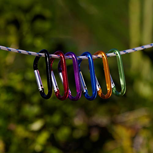 Lightweight Carabiner Clips Set - 6 Assorted Colors