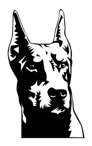 Doberman Head Decal Stickers - Weatherproof Vinyl Graphic for Car & Laptop