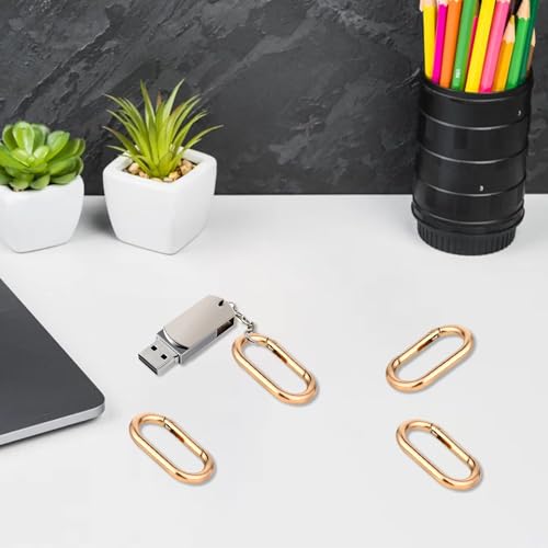2 Pcs Gold Carabiner Key Clips - Heavy Duty Spring O Ring for Bags & Keys