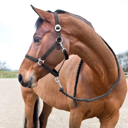 HORZE Basic Cotton Horse Lead Rope - 7ft Black, Durable Stable Tackle
