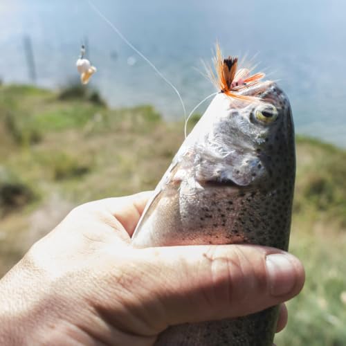 Floating Dry Fly Fishing Lures - 12pcs Butterfly Shaped Fly Kit