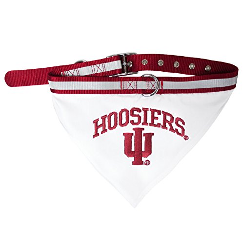NCAA Indiana Hoosiers Pet Collar Bandana - Medium