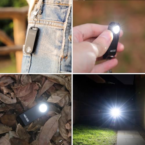 Brinyte A02 Mini EDC Keychain Flashlight Rechargeable USB-C LED Key Chain Light 125 Lumens Bright Tiny Flat Pocket Keyring Light for Camping Hiking Dog Walking Emergency Home Power Outage