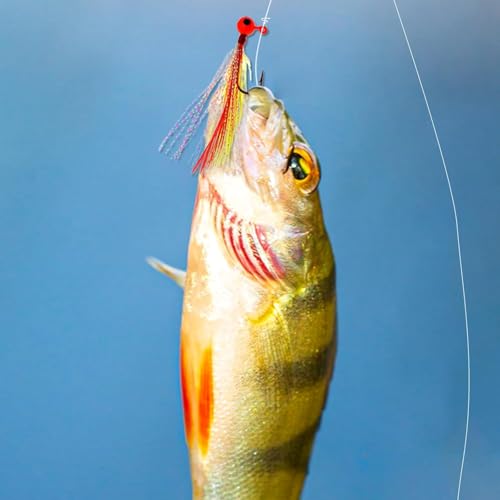 10pcs Crappie Jig Heads Fishing Lures with Feather
