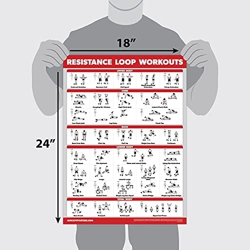 Palace Learning QUICKFIT Resistance Loop Bands Workout Poster - with Plastic Frame - Exercise Chart for Resistance Band Loops - 18" x 24"