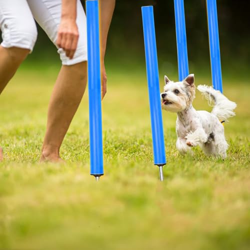 Agility Ladder Training Set - 20ft Ladder, 6 Poles, 8 Cones