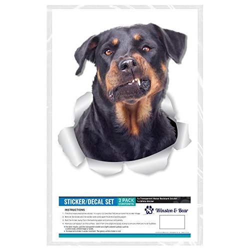 Winston & Bear 3D Funny Rottweiler Stickers - 2 Pack - Rottweiler Wall Decals - Dog Lover Gifts - Dog Stickers for Bedroom - Fridge - Toilet - Car - Retail Packaged