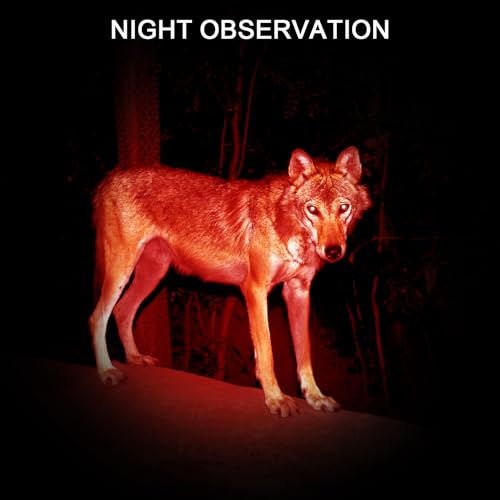 Beieverluck 10 Pack Red Light Flashlight 3 Modes Red LED Flashlight Scalable Red Light Torch with Clip for Hunting Astronomy Night Observation and Outdoor Activities