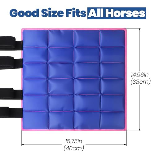 AccompMe Blue Reusable Ice Horse Leg Boot for Injury Recovery, Adjustable Gel Wrap for Legs, Hocks & Hooves