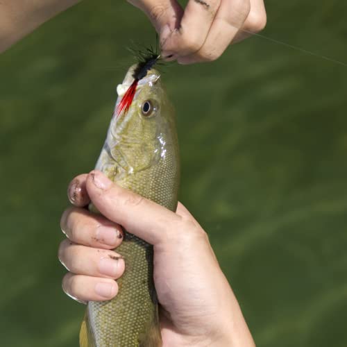 20pcs Fly Fishing Poppers - Topwater Lures for Bass, Trout & More