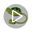 Turtle Silicone Straw Cover for 10mm Tumbler Straws - Dust-Proof Topper