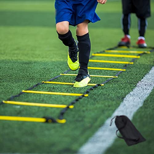 12 Rung Agility Ladder Set with Steel Stakes & Carry Bag