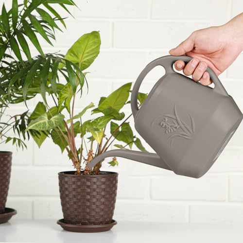 ZXJ 1/2 Gallon Plant Watering Can with Long Spout – Indoor & Outdoor Garden