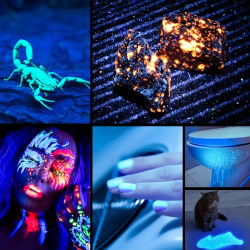 Consciot UV Flashlight Blacklight USB-C Rechargeable, 365nm LED Ultraviolet Light, Portable Woods Lamp for Pet Urine Detection, Dry Stains, Bed Bug, Curing Resin and Gel Nails, Yooperlites, 2 Pack