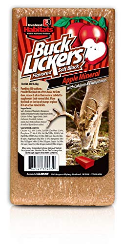 Apple Flavored Mineral Salt Block - 4 Lbs Deer Attractant
