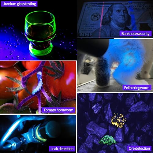 UV Flashlight Black Light 365nm, Mini Powerful 3xLED Ultraviolet Blacklight Rechargeable Woods Lamp, Handheld Pet Urine Detector for Dog/Cat Urine, Stains, Resin Curing, Rocks Finder
