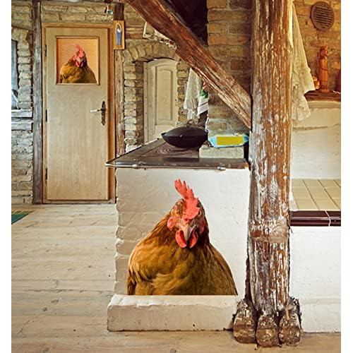 Chicken Brown Hen Looking at You Wall Decal - Peel and Stick Decoration for Room, Bedroom, Window, Store Showcase, Classroom, Car - Cute Chicken Head Sticker