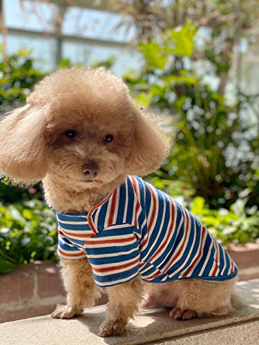 Knuffelen Medium Dog Shirt 2-Pack Cotton Striped T-Shirts for Small Dogs, Blue & Yellow
