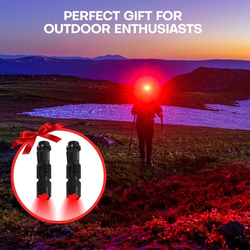 4 Pack Red LED Flashlights Single Mode Torch for Astronomy Night Observation