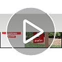 Cincinnati UC Bearcats Garden Flag - Double Sided College Yard Banner
