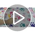 Newwiee Pink Series Paw Print Tablecloths 3-Piece, Disposable Plastic 108 x 51 in
