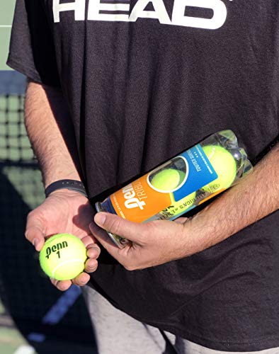 Tennis Balls - Penn Tribute Optic Yellow - 1 Can, 3 Balls