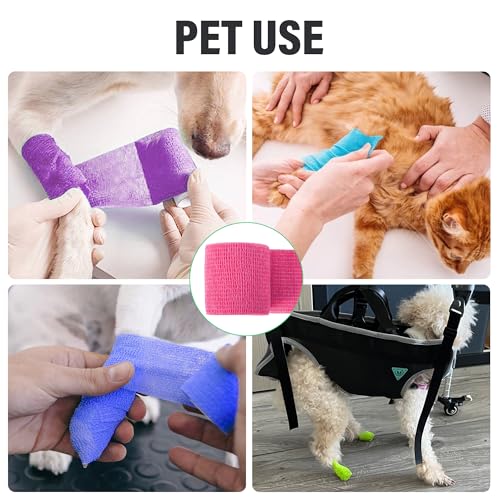 Self-Adherent Cohesive Bandages 2" x 5 Yards - 6 Color Pack
