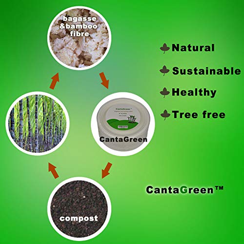 CantaGreen 9 Inch Compostable Plates – 100 Count Heavyweight Sugarcane Bagasse & Bamboo Fibre