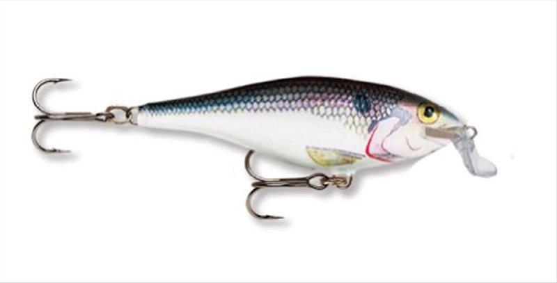 Rapala Shallow Shad Rap 05 Fishing lure (Shad, Size- 2.5)